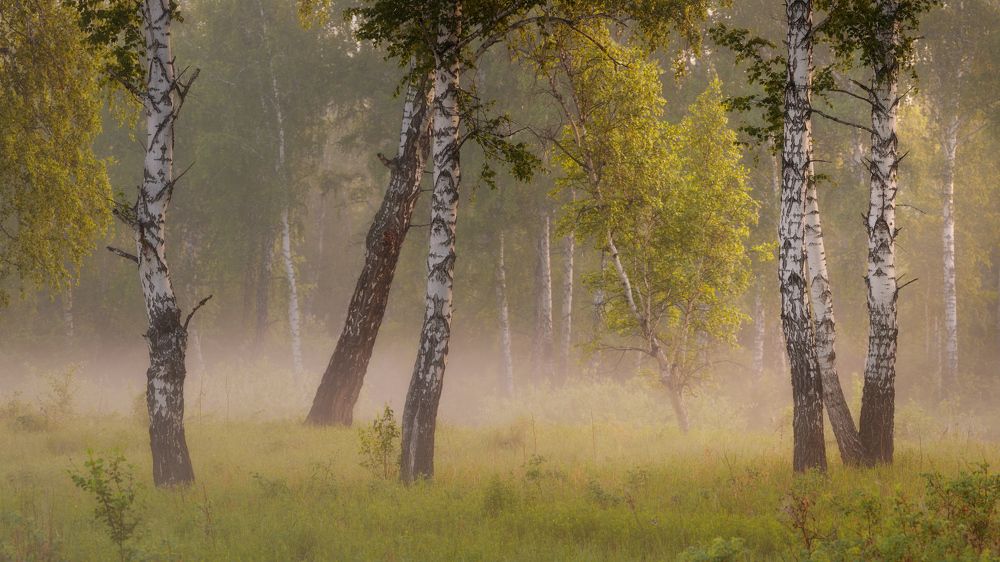 Окунуться в лето