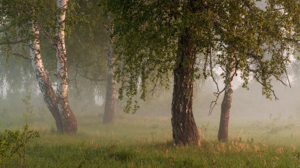 Окунуться в лето