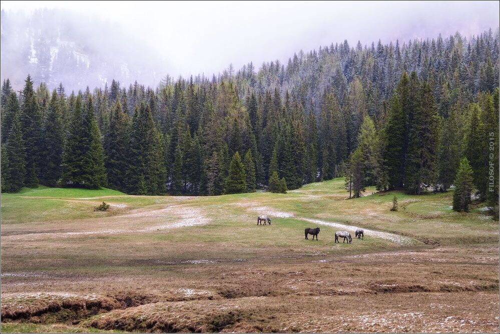 Dolomites