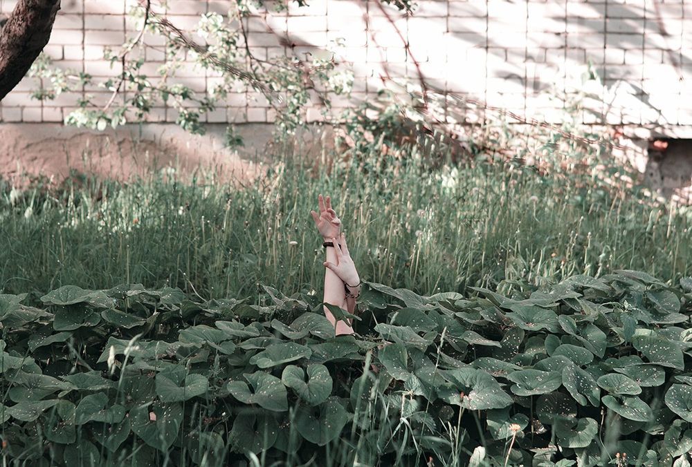Photo 707084