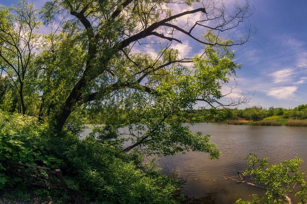 Прогулки в контровом