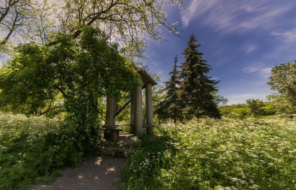 Прогулки в контровом