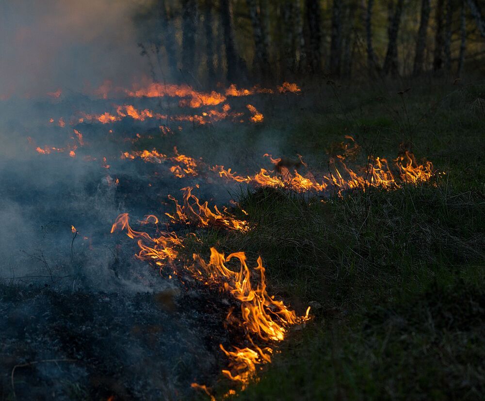 Лесной пожар