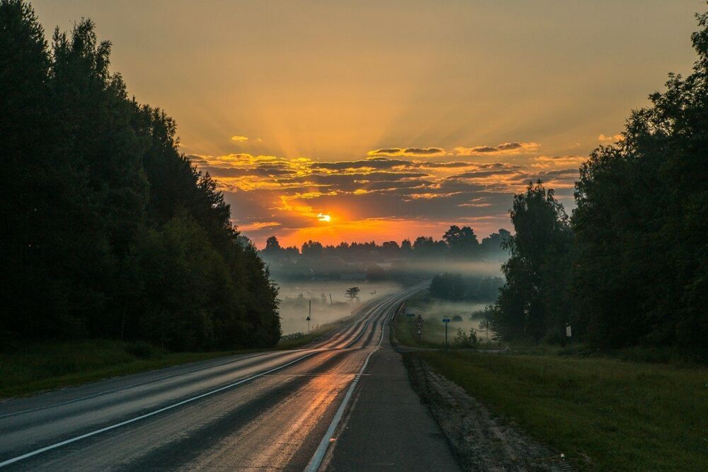 Дорога домой