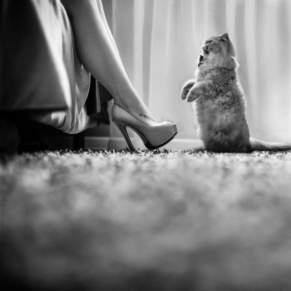 Black&White symphony