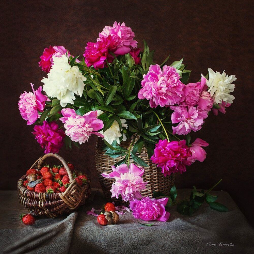 Про пионы и любительниц клубники