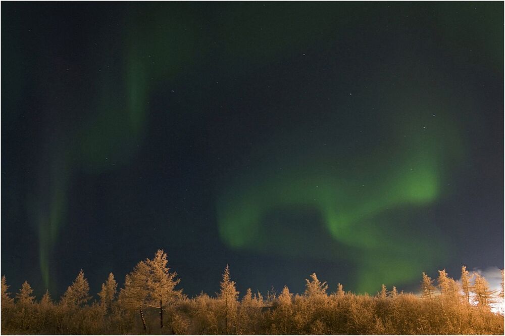 Времена года