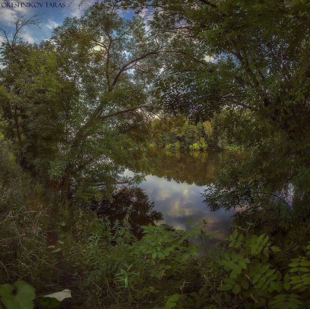 Photo 708678
