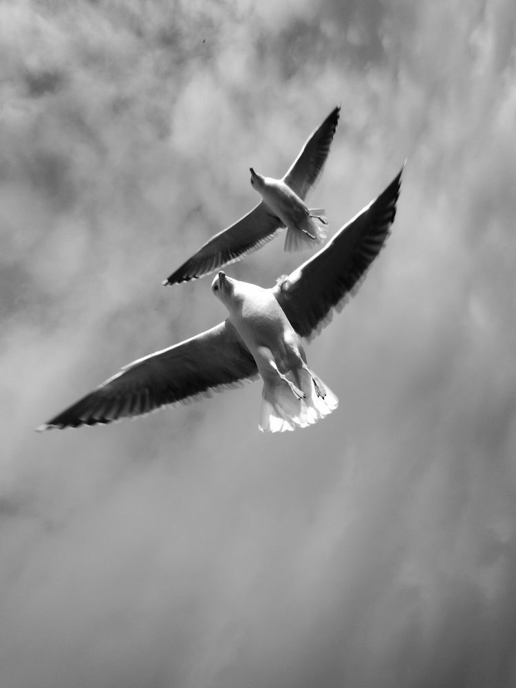 Chained to the sky