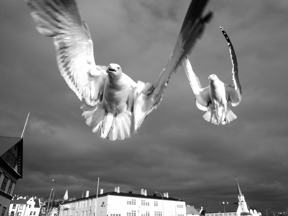 Chained to the sky
