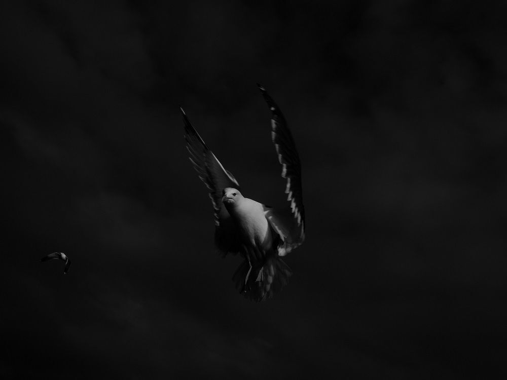 Chained to the sky