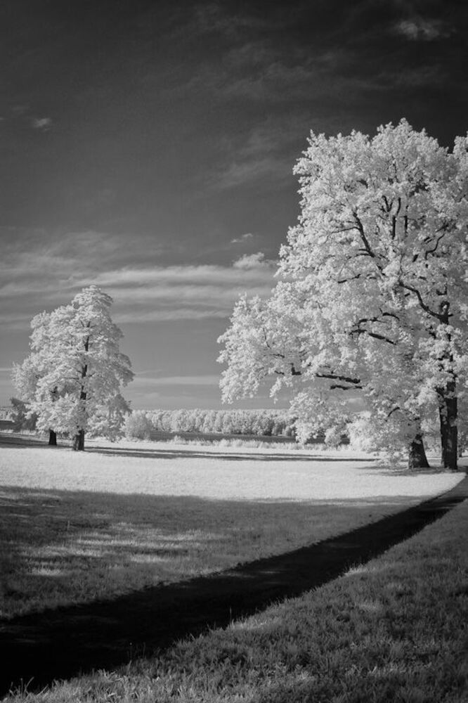Photo 71920