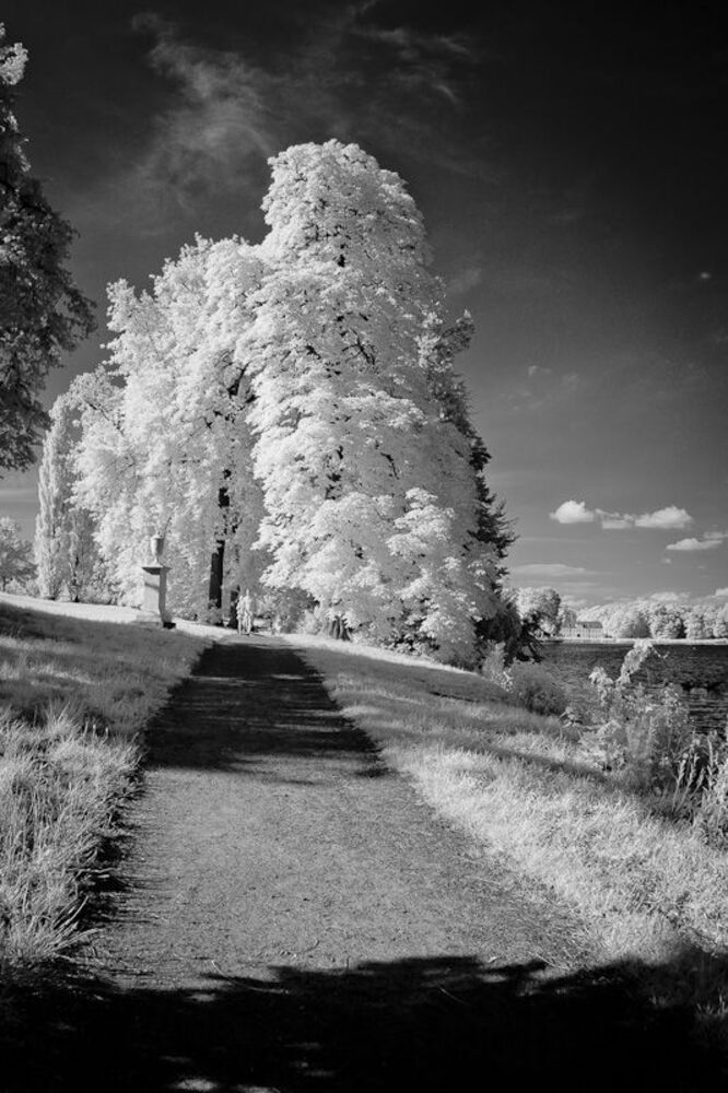 Photo 71923