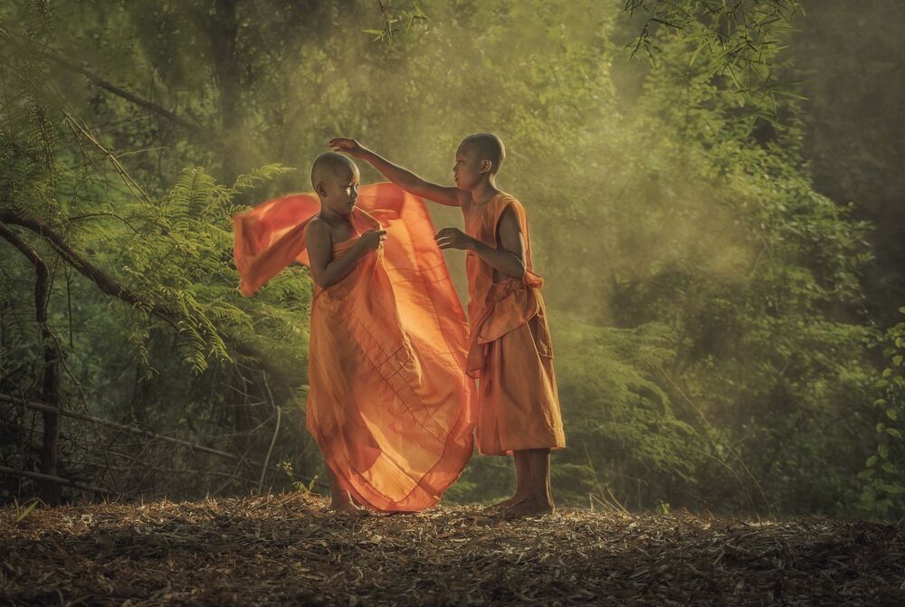 Novice monk studying philosophy in the summer.