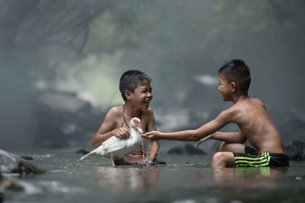 Boys Playing With duck