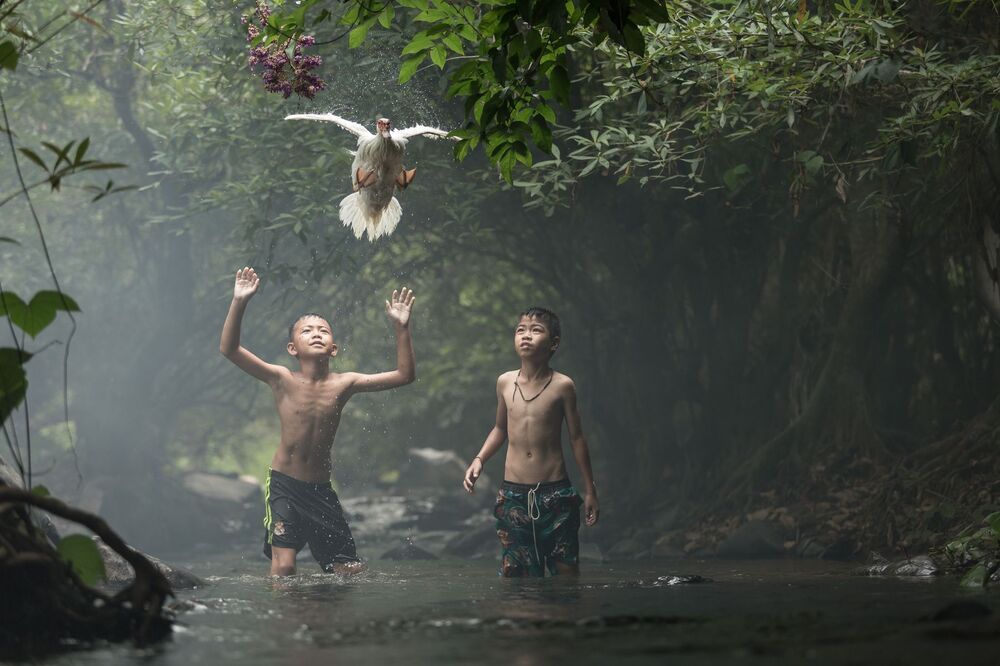 Boys Playing With duck
