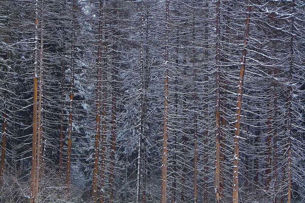 У Аксаково