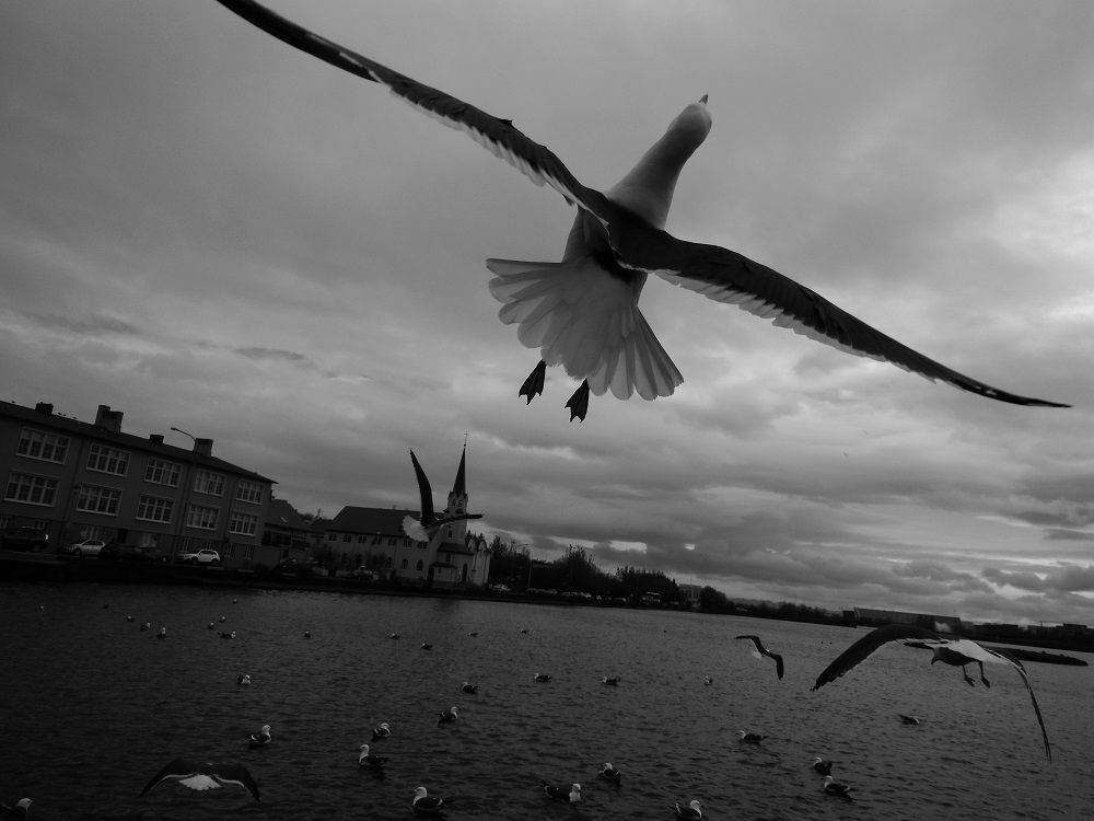 I am a sea-gull&mdash;no&mdash;no, I am an actress