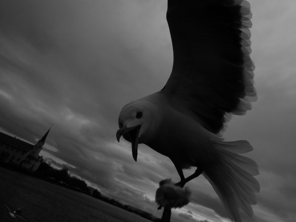 I am a sea-gull&mdash;no&mdash;no, I am an actress
