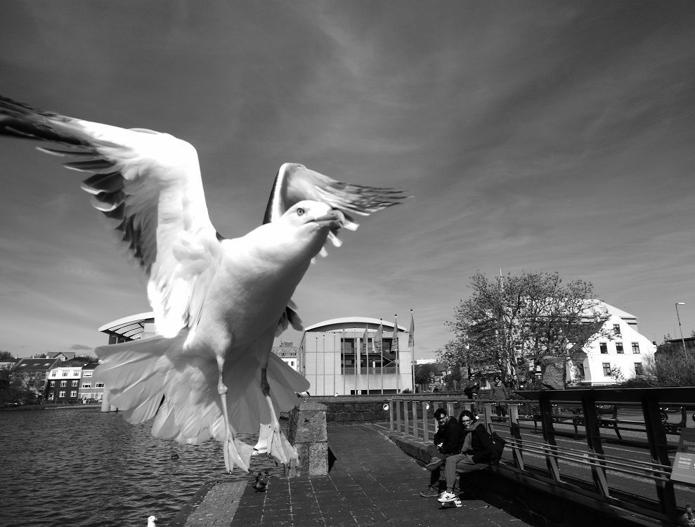 I am a sea-gull&mdash;no&mdash;no, I am an actress