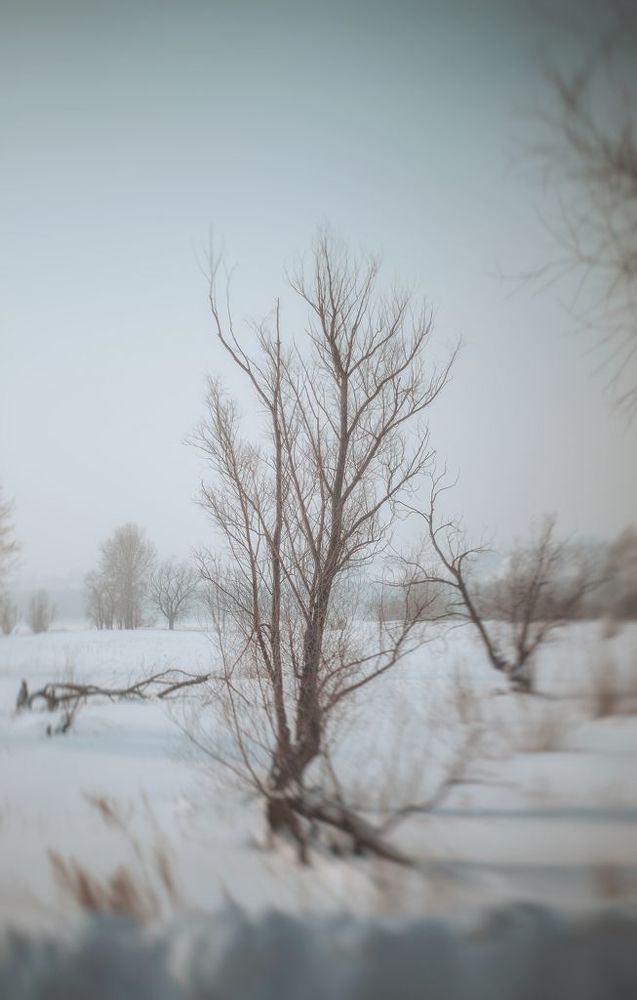 Photo 712383