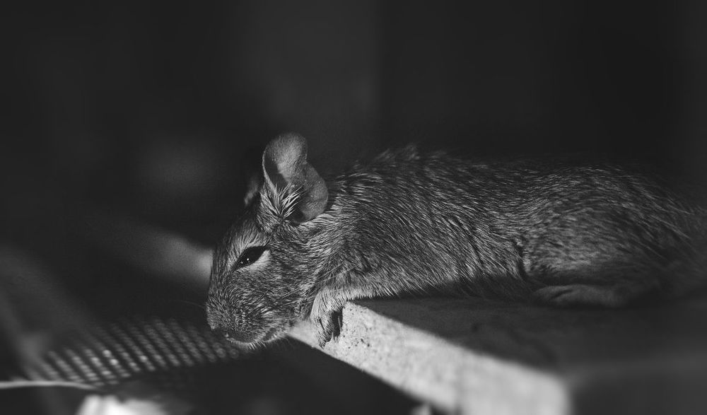 Photo 712479