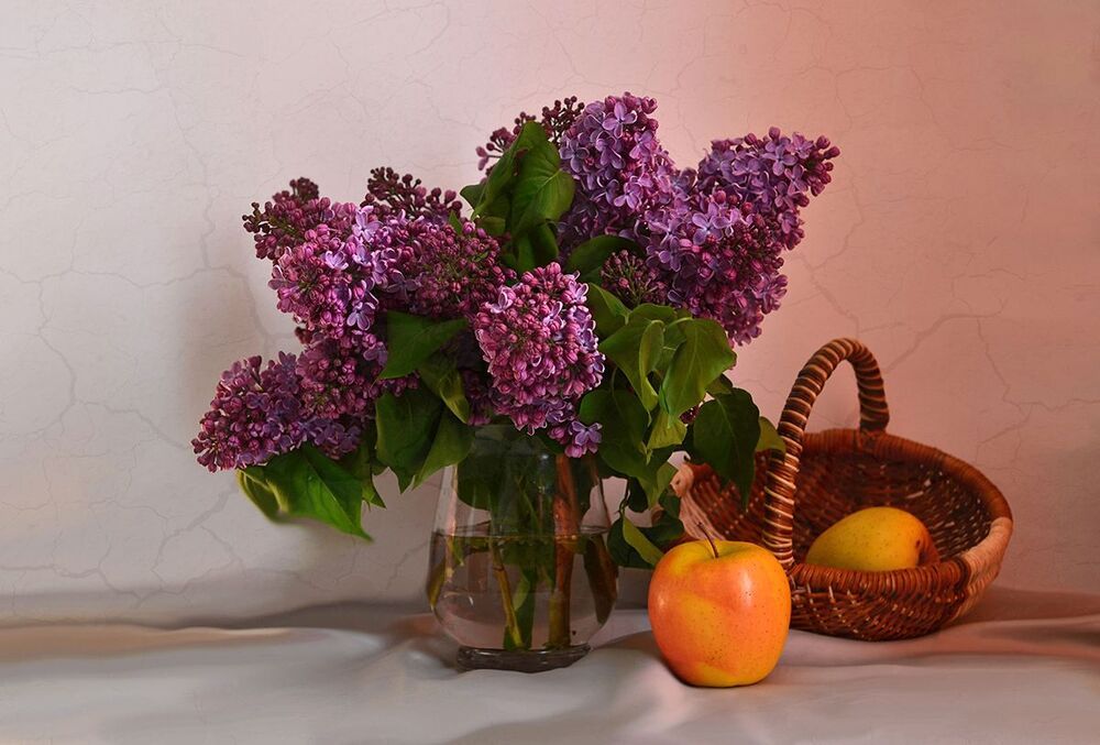 Photo 712674