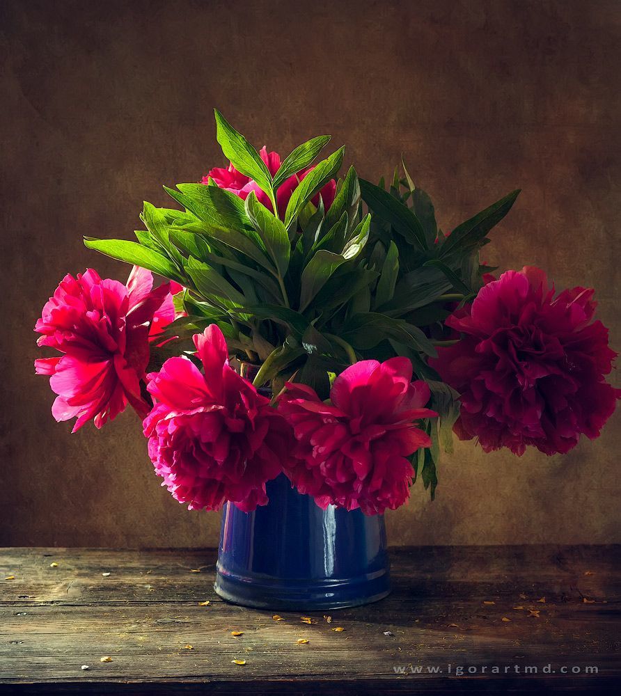 Peonies