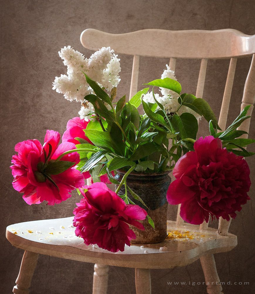 Peonies