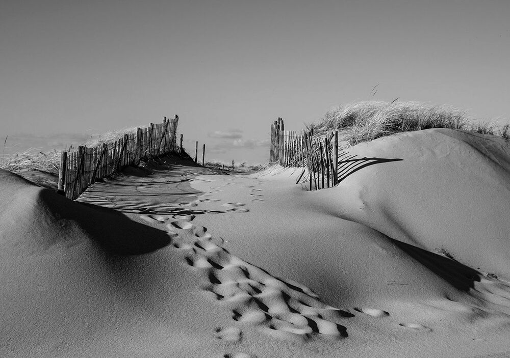 The dune