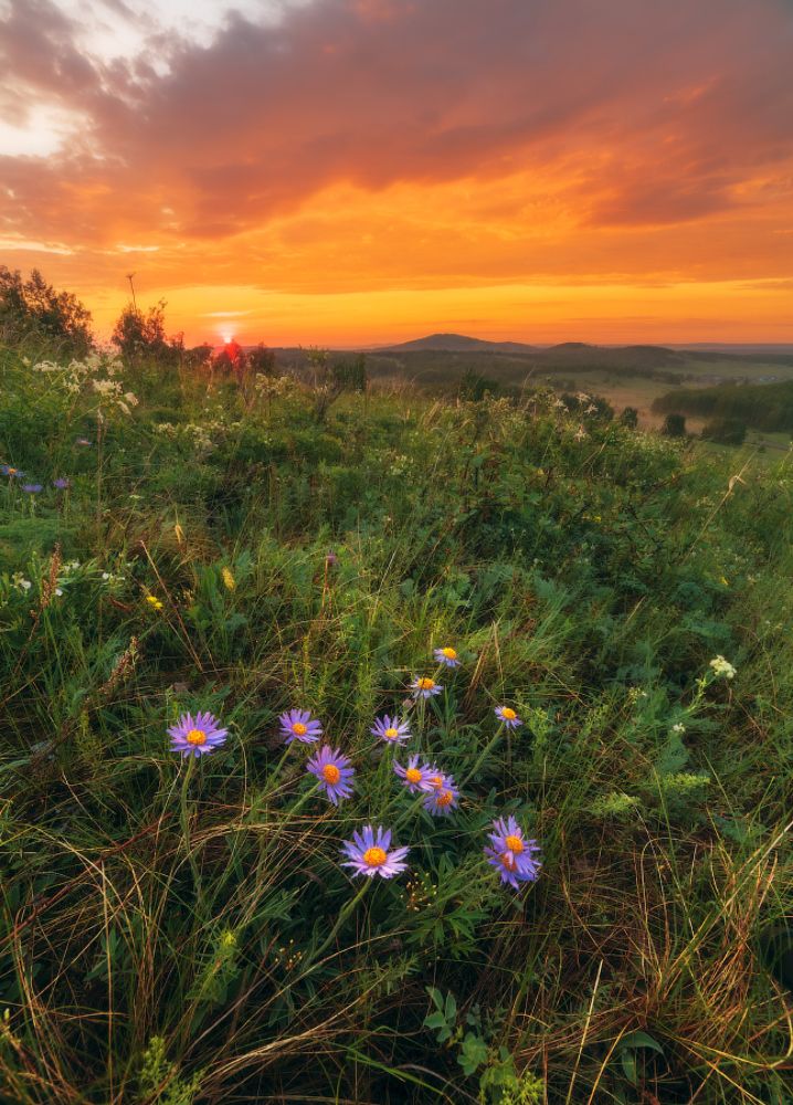 Краски лета