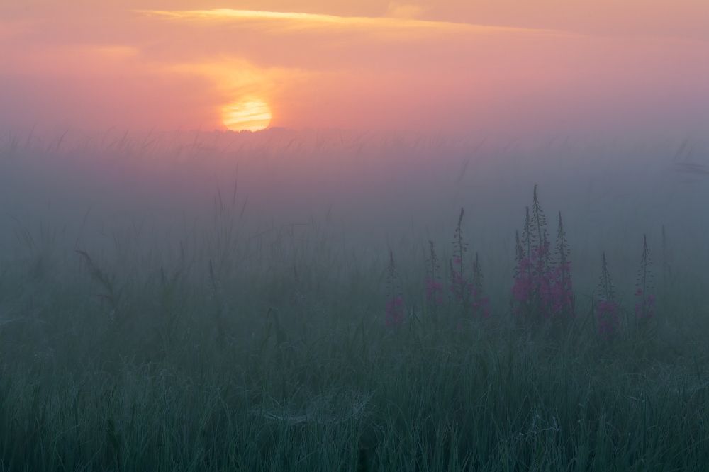 Краски лета