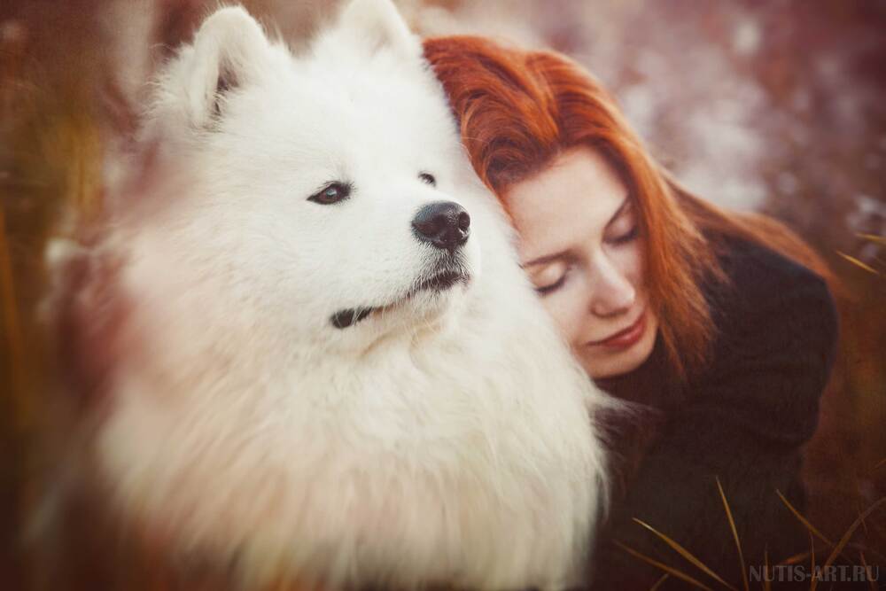 Nutis-ART.ru