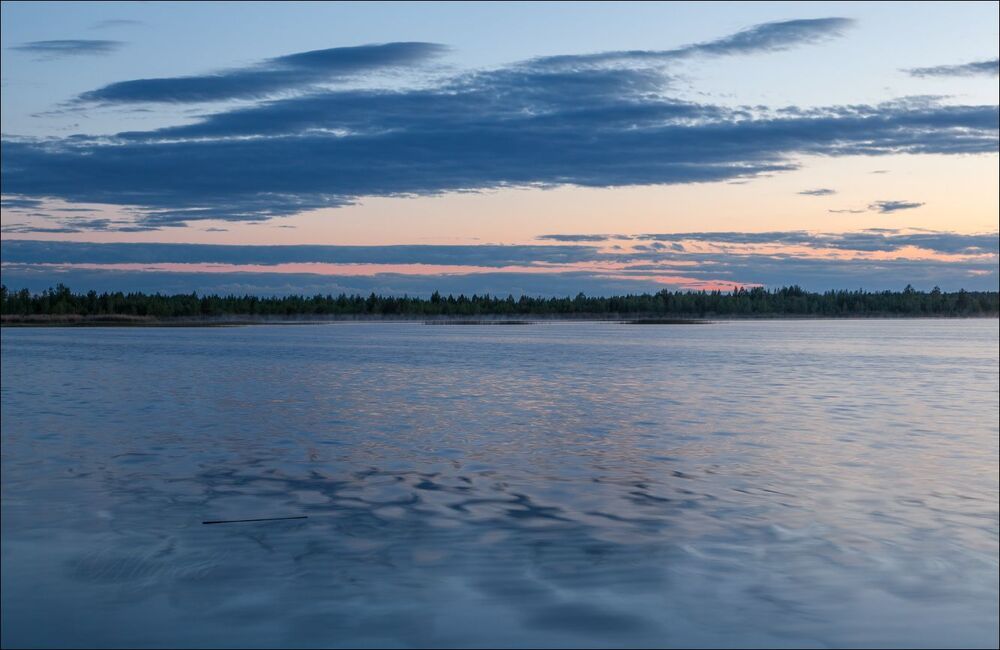 Сумерки
