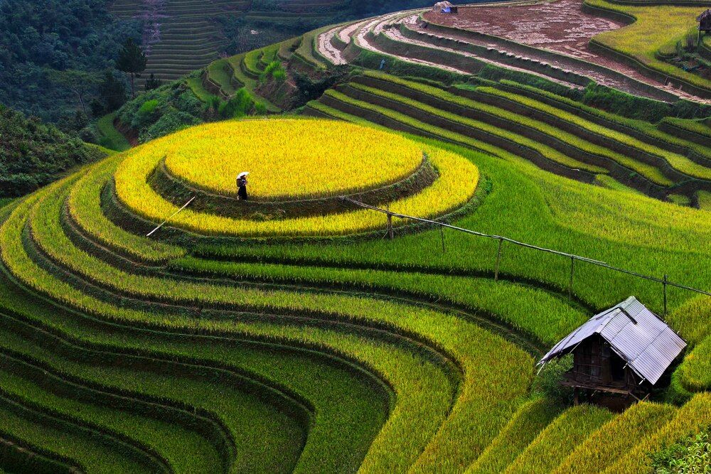Landscape and People the T&acirc;y Bắc - Vi&ecirc;t Nam
