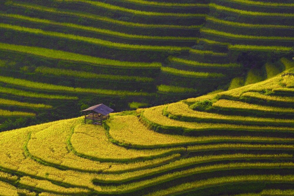 Landscape and People the T&acirc;y Bắc - Vi&ecirc;t Nam