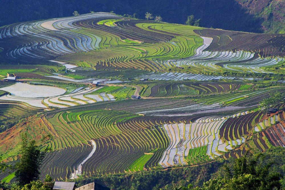 Landscape and People the T&acirc;y Bắc - Vi&ecirc;t Nam