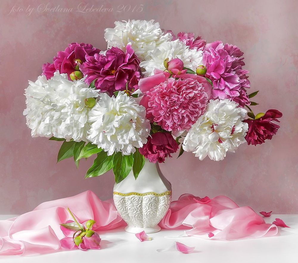 С белыми и розовыми пионами