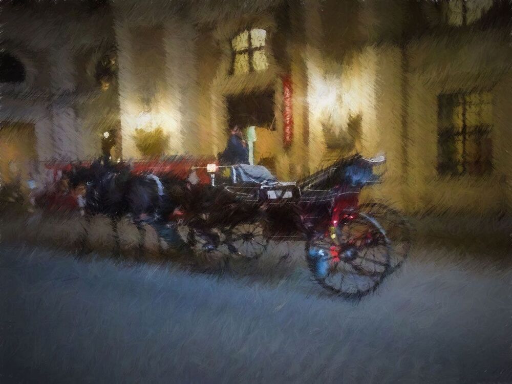 Вена  .Австрия.