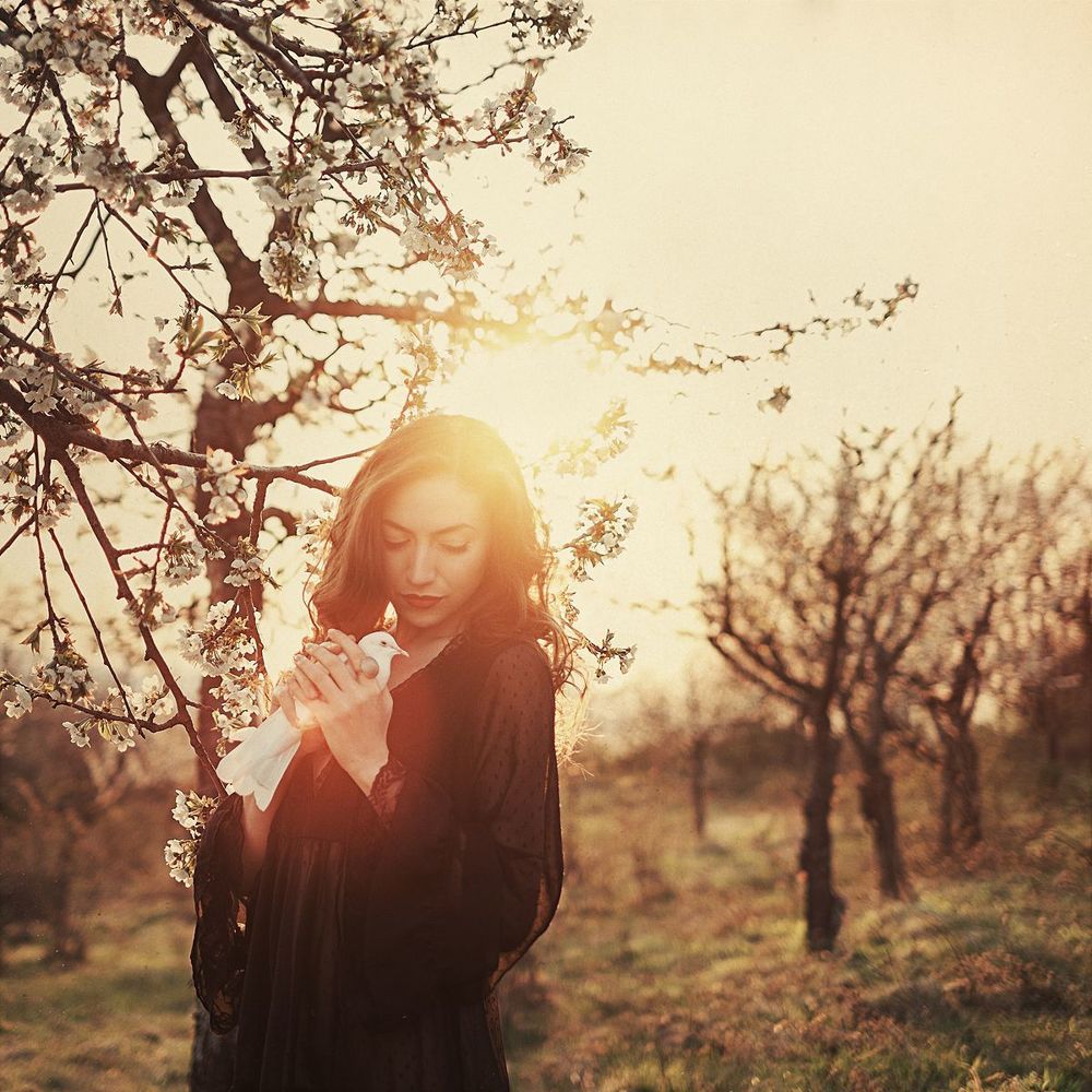 Dreams of spring...
