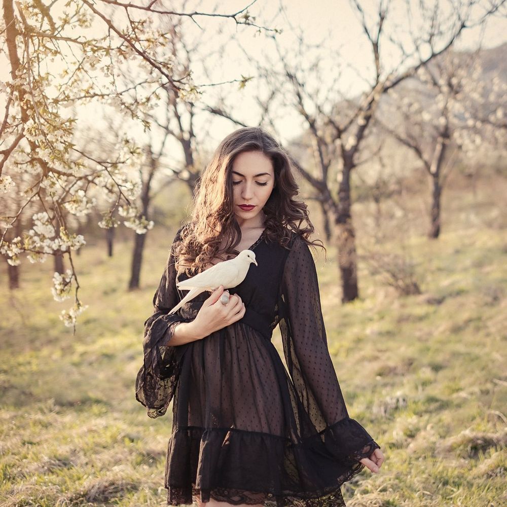Dreams of spring...