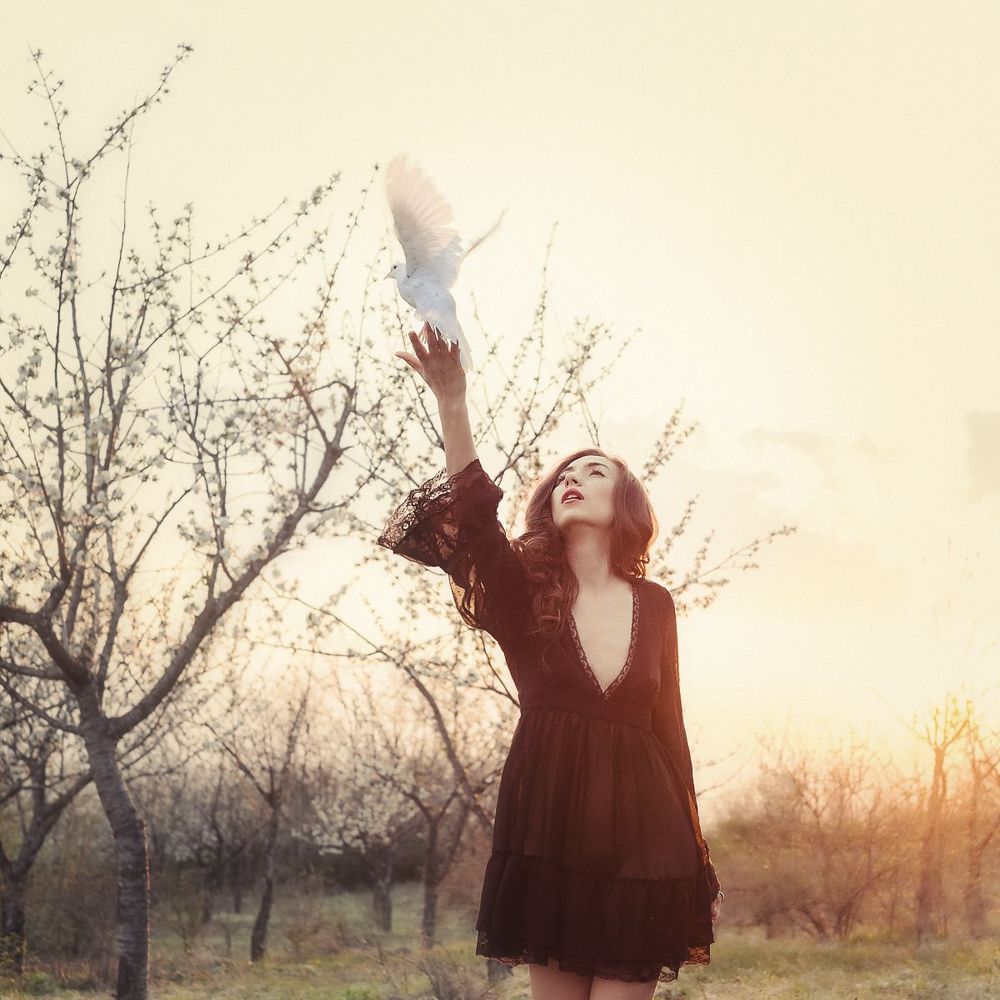 Dreams of spring...