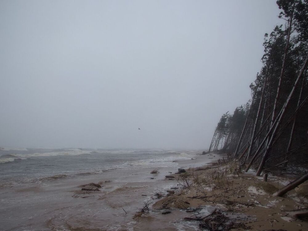 Море волнуется два...