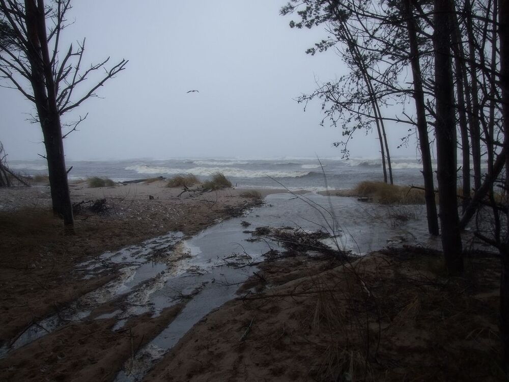Море волнуется два...