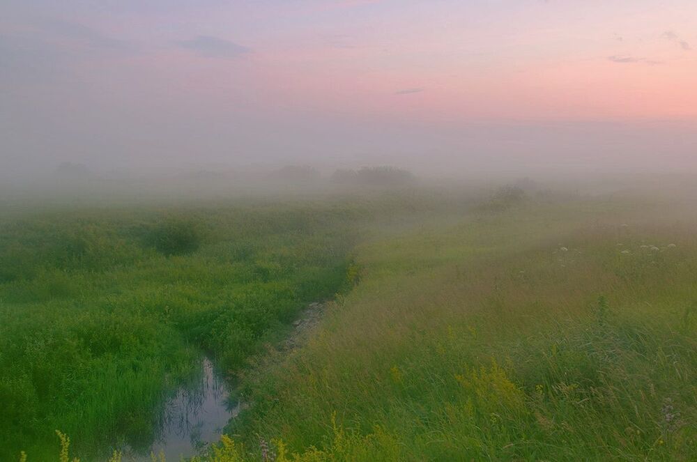 Photo 72013