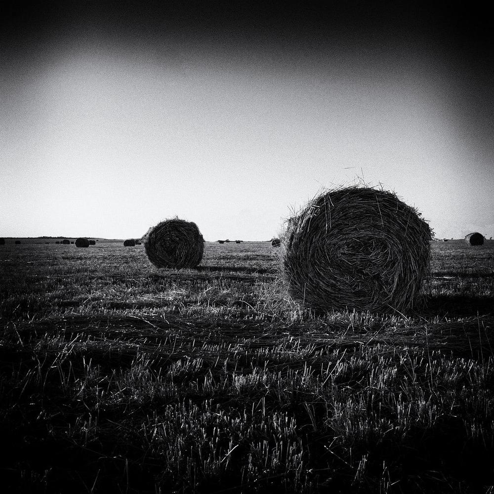 Photo 72644