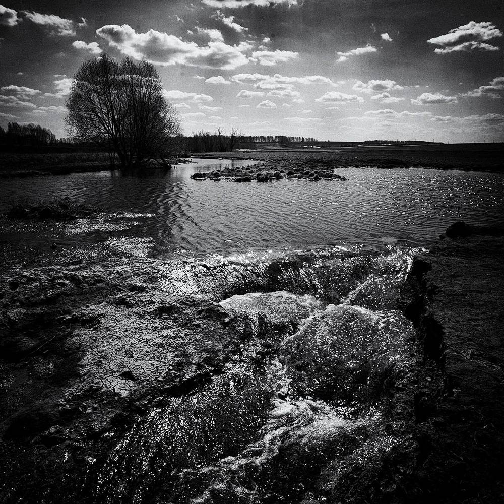 Photo 72645