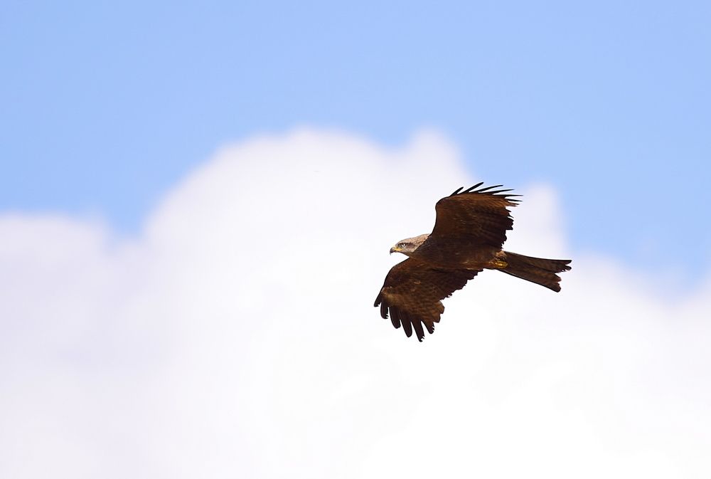 To the sky