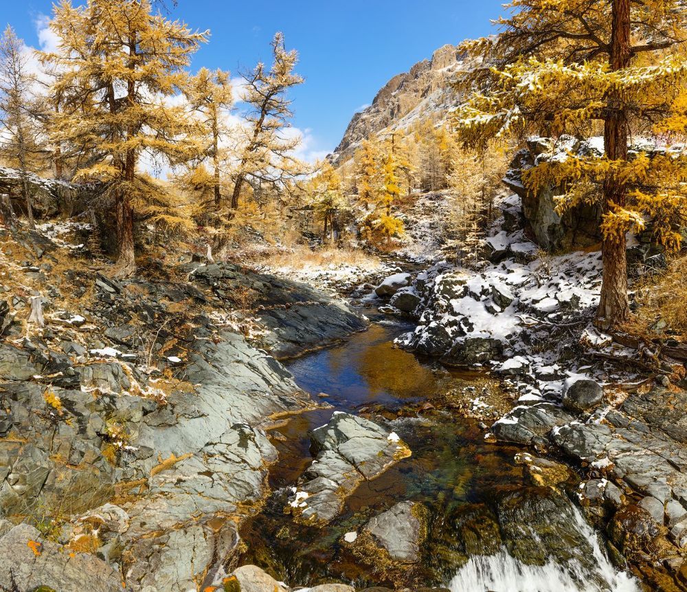В ущелье р.Малые Кокоря                   http://www.altai-photo.ru/photo/0-1-0-17-1769