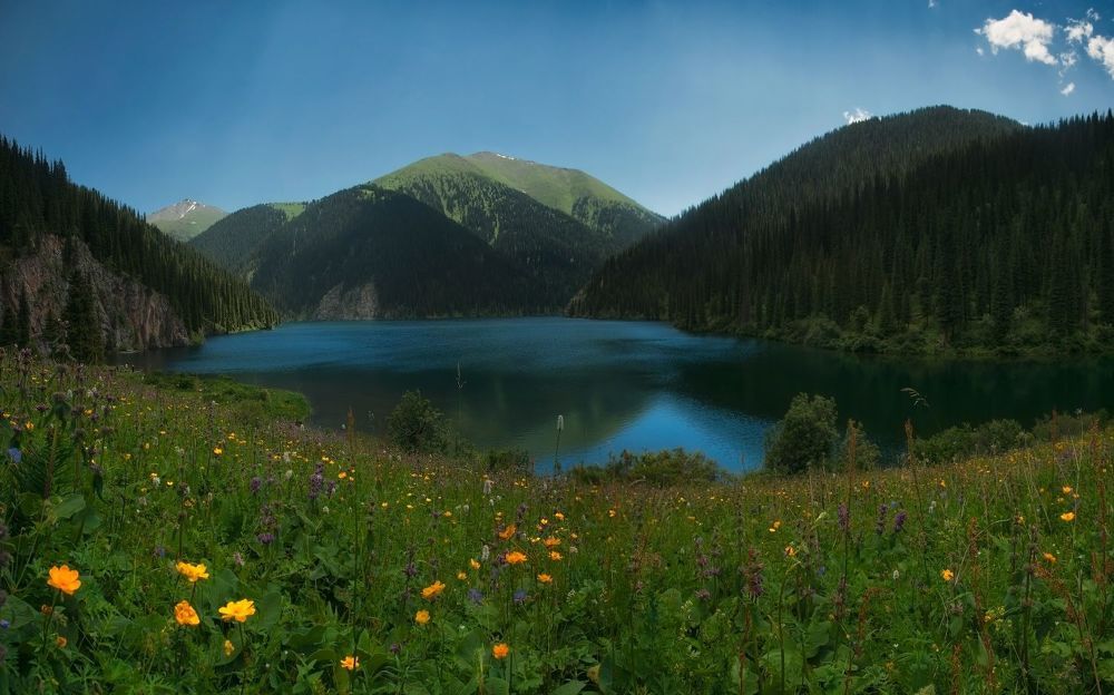 Кольсай
